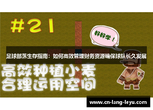 足球部落生存指南：如何高效管理财务资源确保球队长久发展