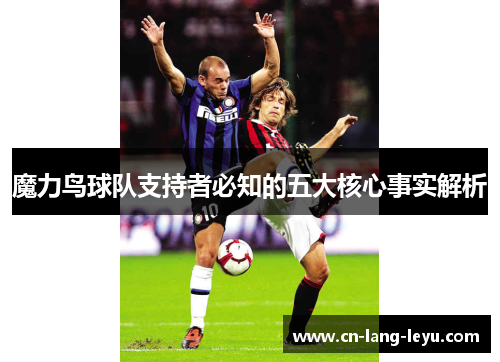 魔力鸟球队支持者必知的五大核心事实解析 魔力鸟球队支持者必知的五大核心事实解析
