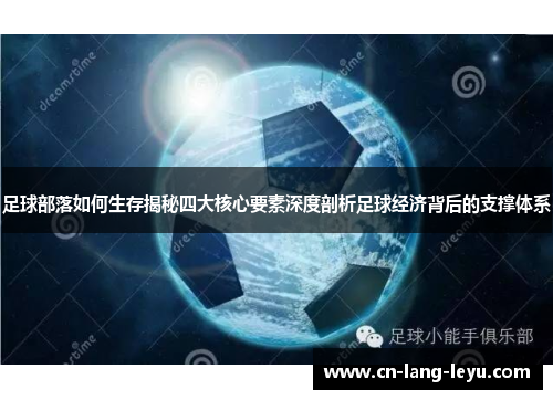 足球部落如何生存揭秘四大核心要素深度剖析足球经济背后的支撑体系